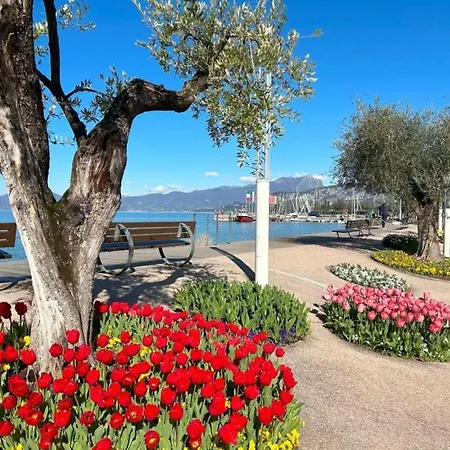 Apartment Bellavista Bardolino